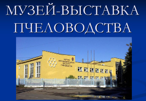 Экскурсии